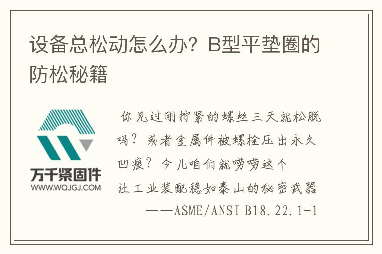 設(shè)備總松動(dòng)怎么辦？B型平墊圈的防松秘籍