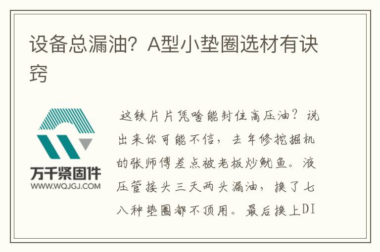 設備總漏油？A型小墊圈選材有訣竅