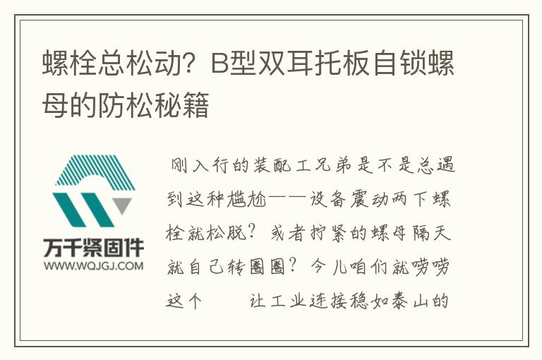 螺栓總松動(dòng)？B型雙耳托板自鎖螺母的防松秘籍