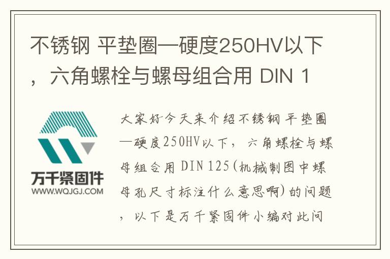 不銹鋼 平墊圈—硬度250HV以下，六角螺栓與螺母組合用 DIN 125
