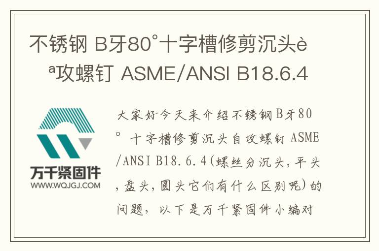 不銹鋼 B牙80°十字槽修剪沉頭自攻螺釘 ASME/ANSI B18.6.4