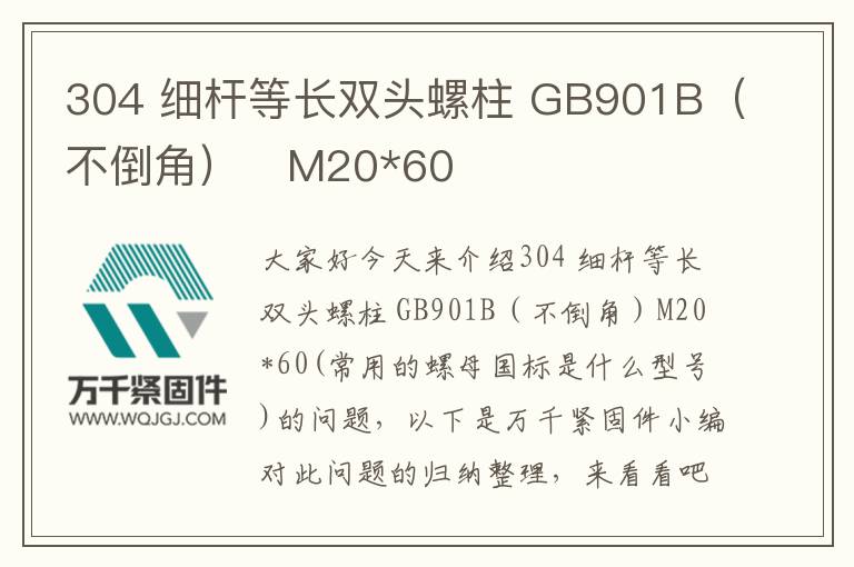 304 細桿等長雙頭螺柱 GB901B（不倒角）	M20*60